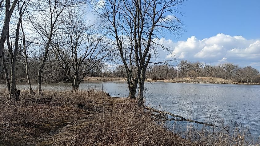 Picture of some trees and water, taken from the north side of the island located within the Monee Reservoir.