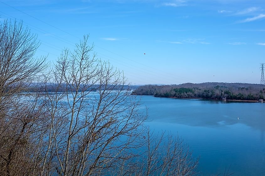 Bare trees above Piney River Shoals, Watts Bar Lake near Watts Bar Dam, Meigs County, Tennessee, USA.