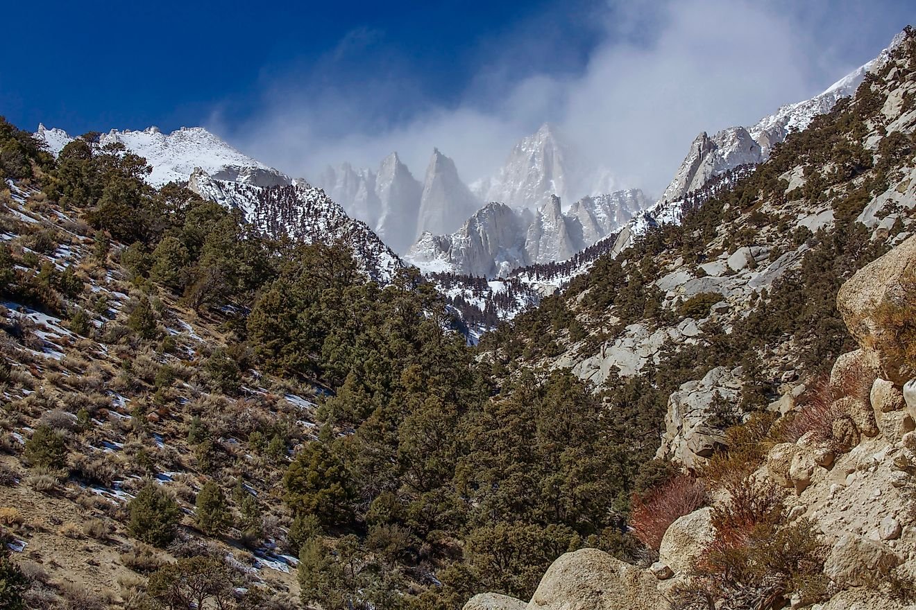 The Highest National Forest In The United States