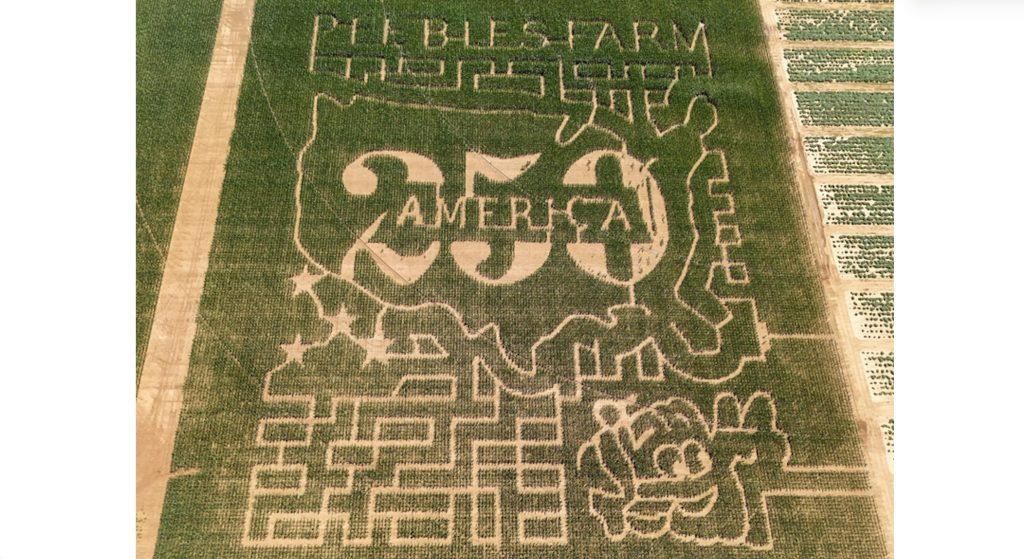 Peebles Farm to open 2026 USA 250 Corn Maze September 26 | White River Now