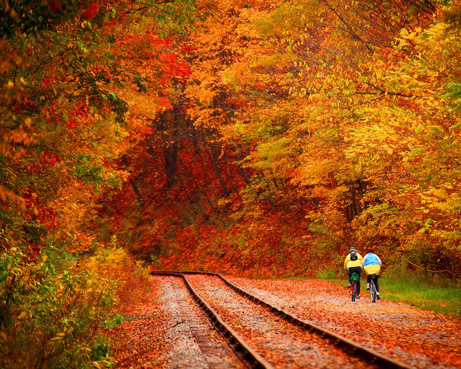 Fun Fact: This Maryland County Is USA TODAY's No 2. Fall Destination