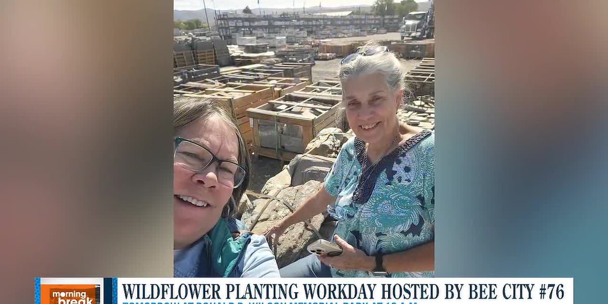 Bee City USA #76 to host wildflower garden planting in Carson City