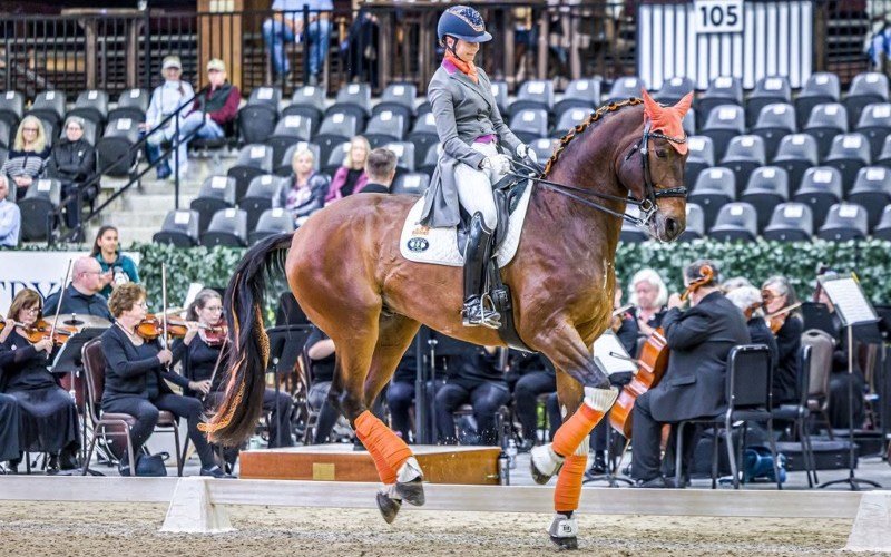 Brooke USA event pairs dressage with live symphony