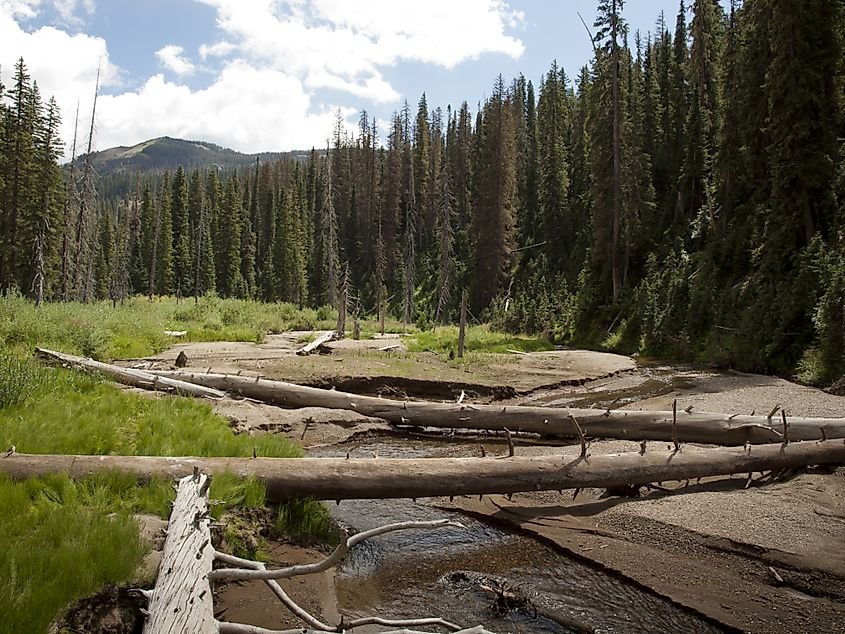 Rio Grande National Forest in south-central Colorado.