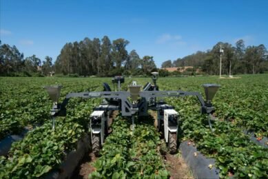 Bonsai Robotics Amiga - a modular, electric micro-tractor equipped with AI capabilities. The Amiga is adaptable to multiple crops, applications, and environments. Photo: Bonsai Robotics