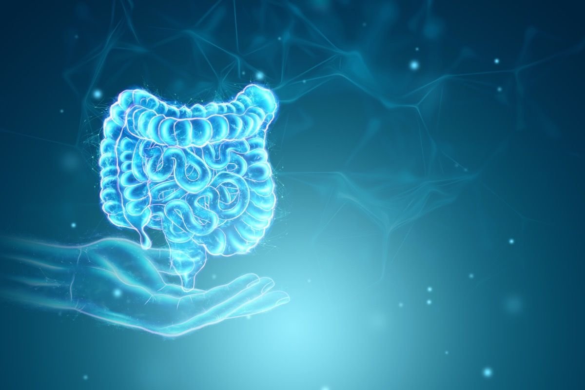What Does Verified erinacine A Content Mean for Lion's Mane Mycelium Ingredients?