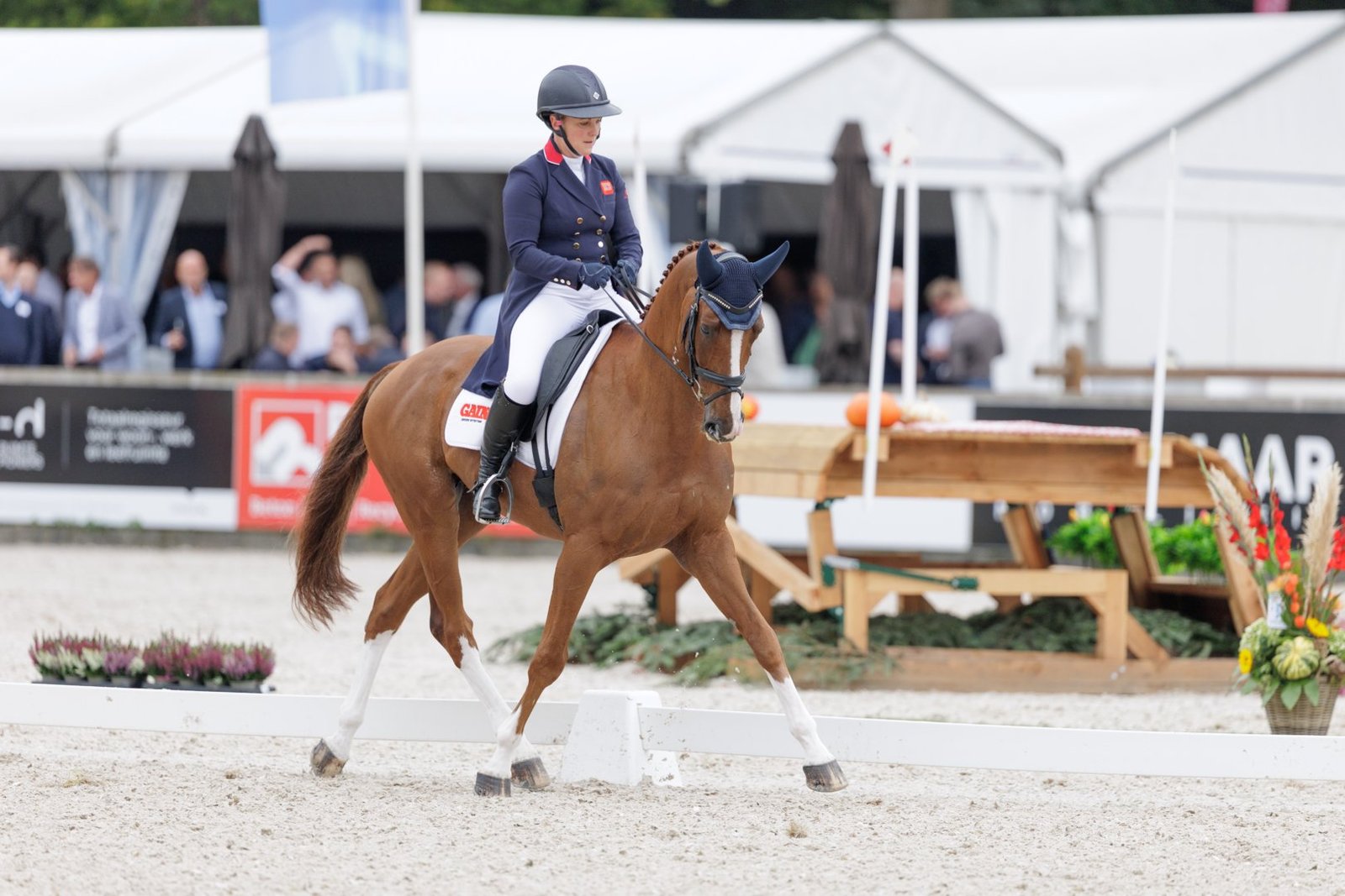 Gemma Stevens Takes Lead, Allie Knowles Top 5 for USA on Day One of Military Boekelo CCIO4*-L | Eventing Nation
