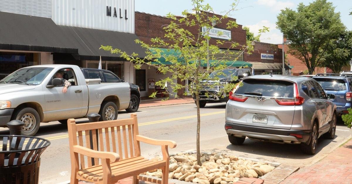 Next stop, Tree City USA: Inventory to identify 'hotspots' lacking in tree canopy | News