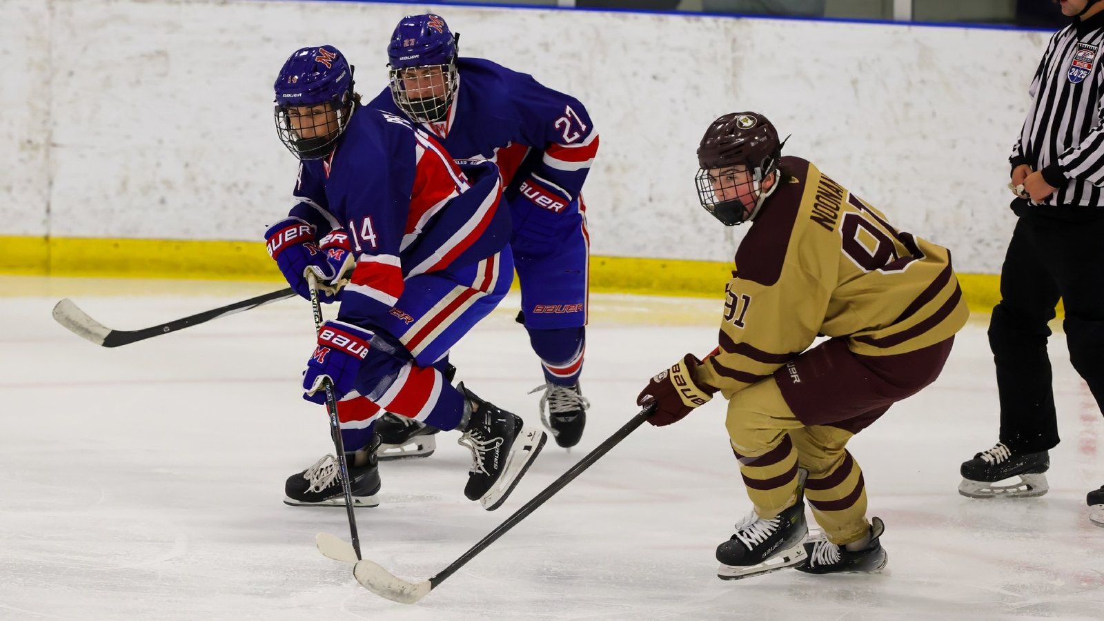 What is the USA Hockey Development League? Who made it?